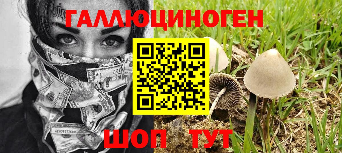 Галлюциногенные грибы мицелий  Вход с VPN  Муром 